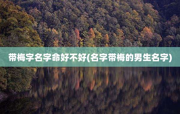 带梅字名字命好不好(名字带梅的男生名字)