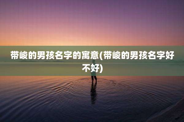 带峻的男孩名字的寓意(带峻的男孩名字好不好)