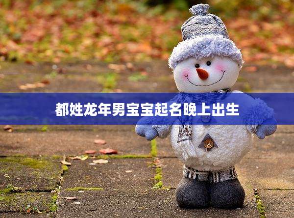 都姓龙年男宝宝起名晚上出生