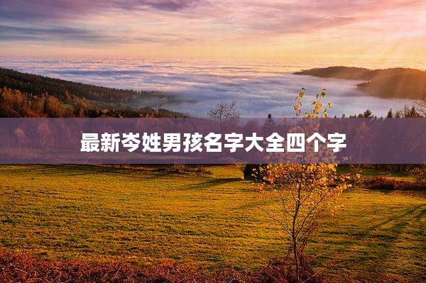 最新岑姓男孩名字大全四个字