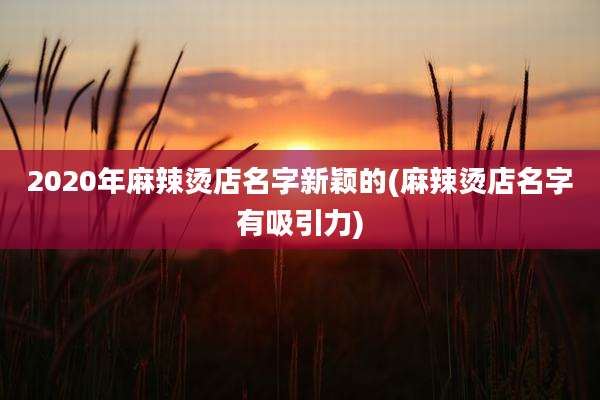2020年麻辣烫店名字新颖的(麻辣烫店名字有吸引力)