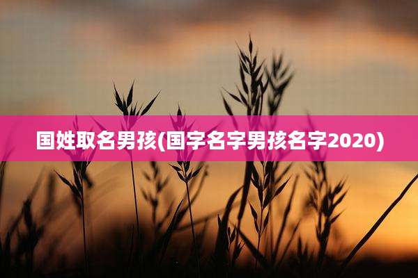 国姓取名男孩(国字名字男孩名字2020)