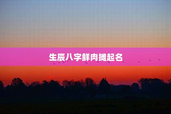生辰八字鲜肉摊起名