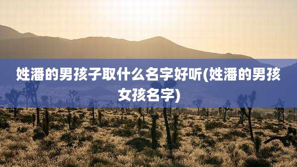 姓潘的男孩子取什么名字好听(姓潘的男孩女孩名字)