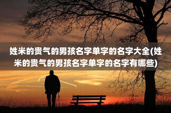 姓米的贵气的男孩名字单字的名字大全(姓米的贵气的男孩名字单字的名字有哪些)