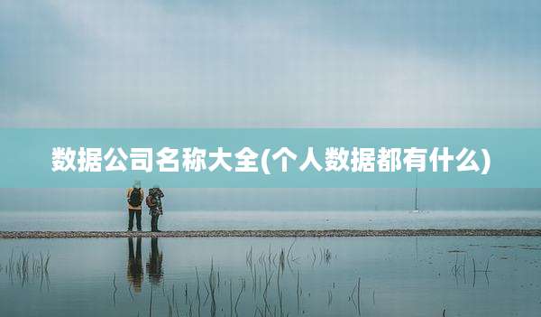 数据公司名称大全(个人数据都有什么)