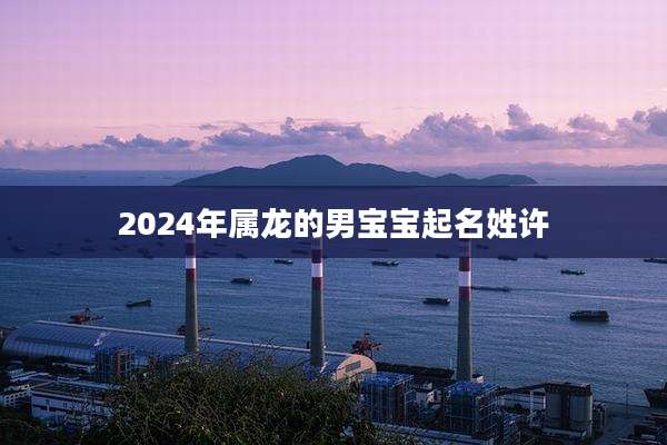 2024年属龙的男宝宝起名姓许