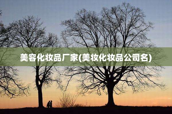 美容化妆品厂家(美妆化妆品公司名)