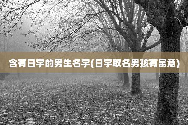 含有日字的男生名字(日字取名男孩有寓意)
