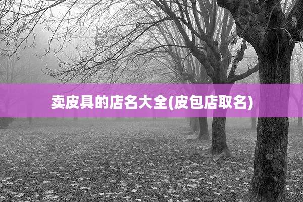 卖皮具的店名大全(皮包店取名)