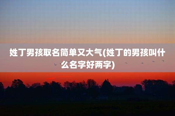 姓丁男孩取名简单又大气(姓丁的男孩叫什么名字好两字)