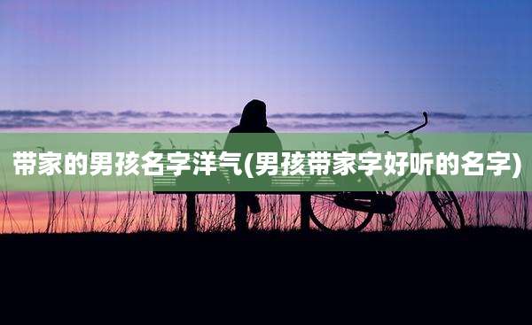 带家的男孩名字洋气(男孩带家字好听的名字)