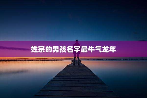 姓宗的男孩名字最牛气龙年