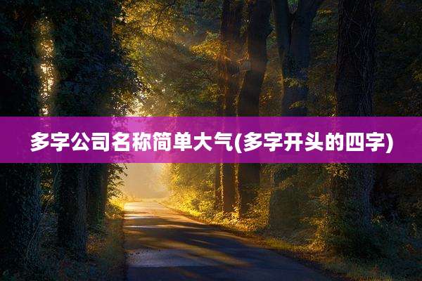 多字公司名称简单大气(多字开头的四字)