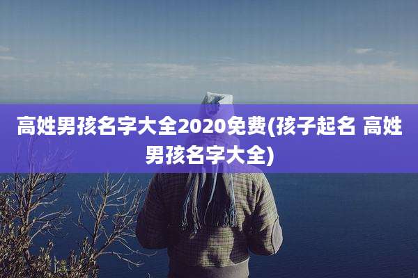高姓男孩名字大全2020免费(孩子起名 高姓男孩名字大全)