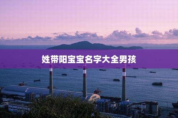 姓带阳宝宝名字大全男孩
