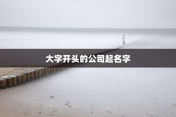 大字开头的公司起名字