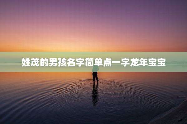 姓茂的男孩名字简单点一字龙年宝宝