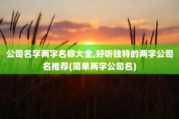公司名字两字名称大全,好听独特的两字公司名推荐(简单两字公司名)