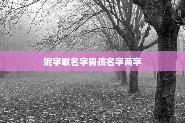妮字取名字男孩名字两字