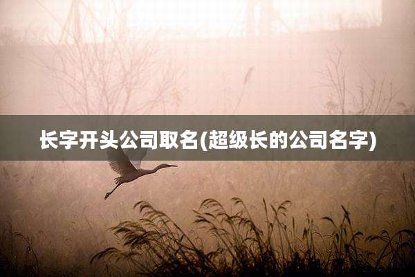 长字开头公司取名(超级长的公司名字)