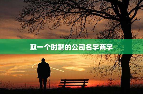 取一个时髦的公司名字两字