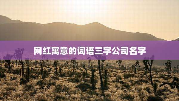 网红寓意的词语三字公司名字
