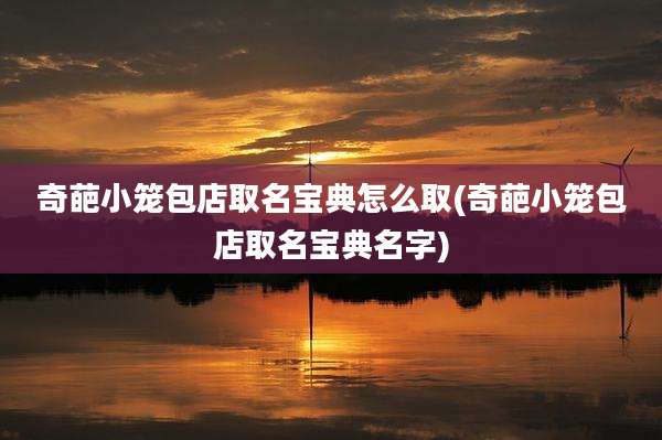 奇葩小笼包店取名宝典怎么取(奇葩小笼包店取名宝典名字)
