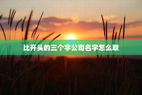 比开头的三个字公司名字怎么取