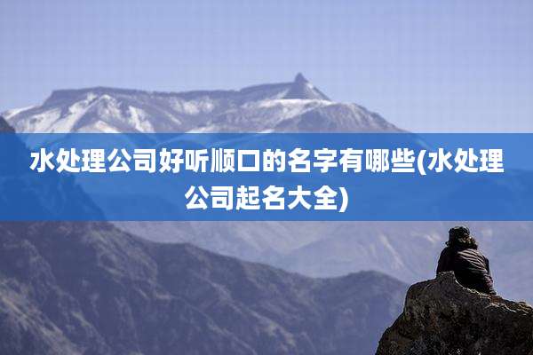 水处理公司好听顺口的名字有哪些(水处理公司起名大全)