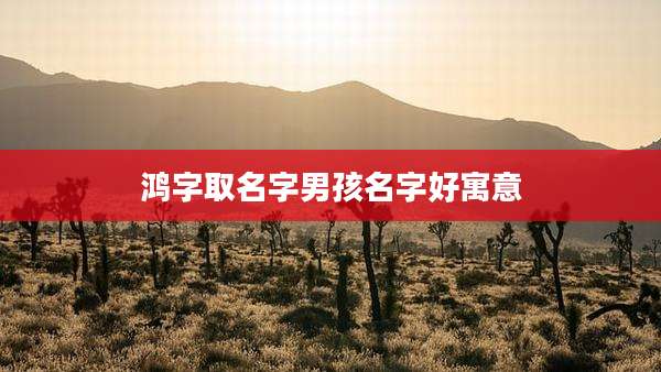 鸿字取名字男孩名字好寓意