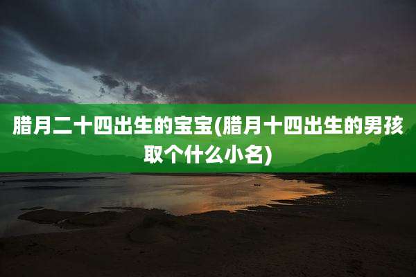 腊月二十四出生的宝宝(腊月十四出生的男孩取个什么小名)