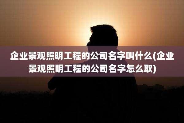 企业景观照明工程的公司名字叫什么(企业景观照明工程的公司名字怎么取)