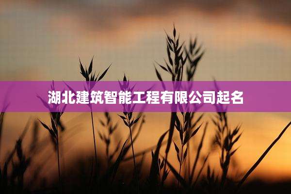 湖北建筑智能工程有限公司起名