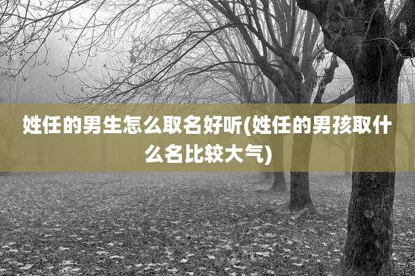 姓任的男生怎么取名好听(姓任的男孩取什么名比较大气)