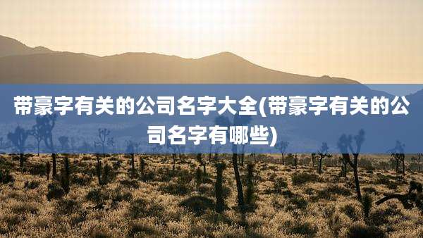 带豪字有关的公司名字大全(带豪字有关的公司名字有哪些)