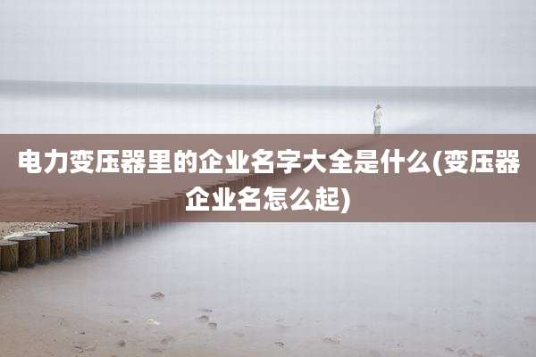 电力变压器里的企业名字大全是什么(变压器企业名怎么起)