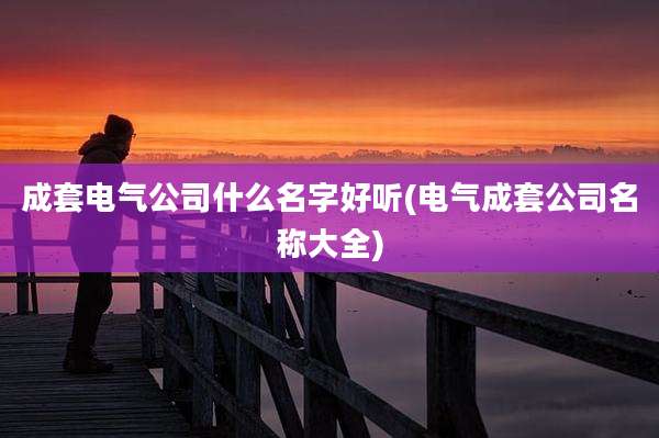 成套电气公司什么名字好听(电气成套公司名称大全)