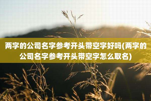 两字的公司名字参考开头带空字好吗(两字的公司名字参考开头带空字怎么取名)