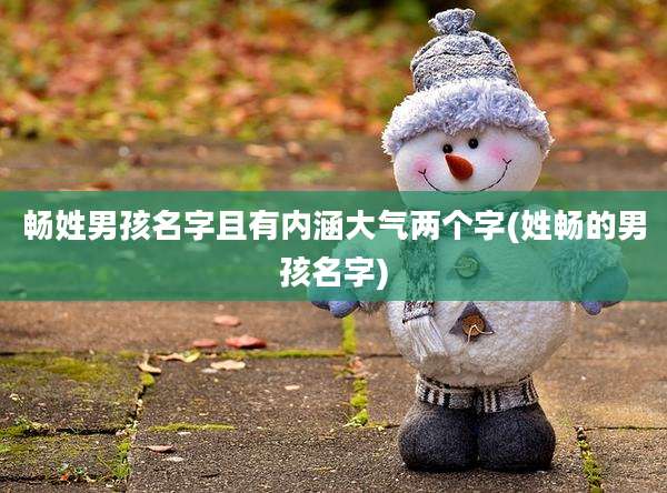 畅姓男孩名字且有内涵大气两个字(姓畅的男孩名字)