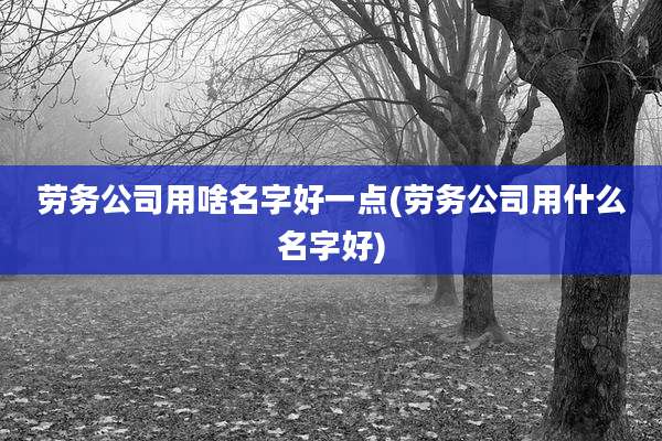 劳务公司用啥名字好一点(劳务公司用什么名字好)