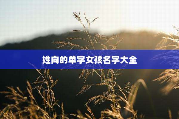 姓向的单字女孩名字大全