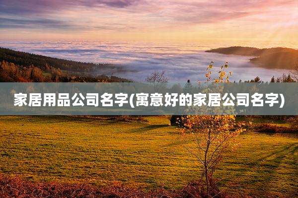家居用品公司名字(寓意好的家居公司名字)