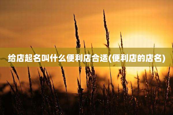 给店起名叫什么便利店合适(便利店的店名)