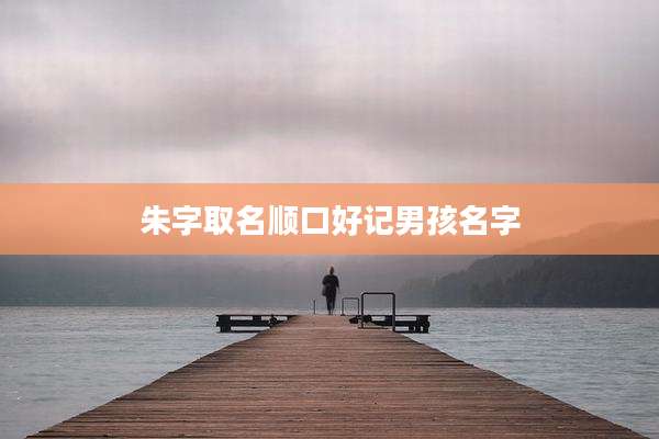 朱字取名顺口好记男孩名字