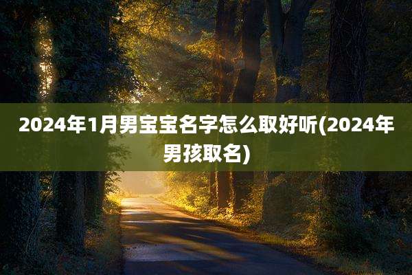 2024年1月男宝宝名字怎么取好听(2024年男孩取名)