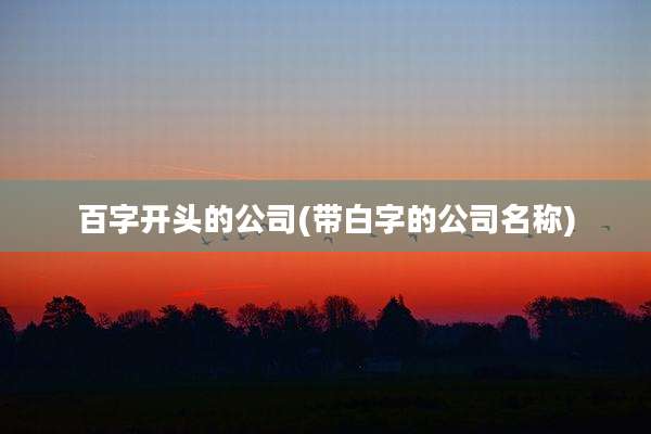 百字开头的公司(带白字的公司名称)
