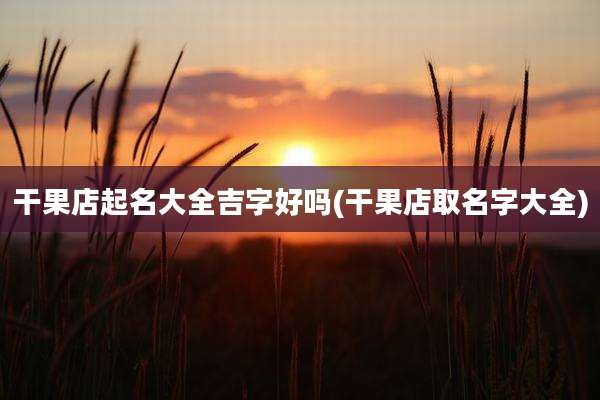 干果店起名大全吉字好吗(干果店取名字大全)