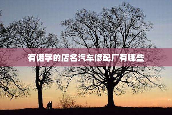 有诺字的店名汽车修配厂有哪些