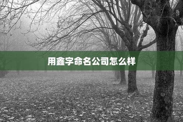 用鑫字命名公司怎么样